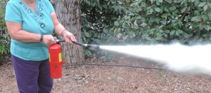 dry chemical fire extinguisher