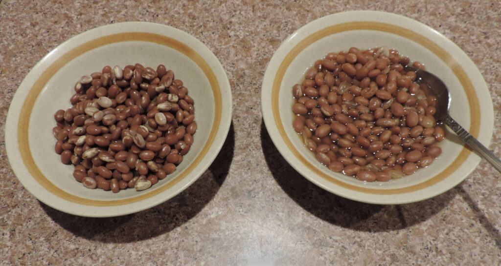 Old Beans from 1970 Made Soft and Edible