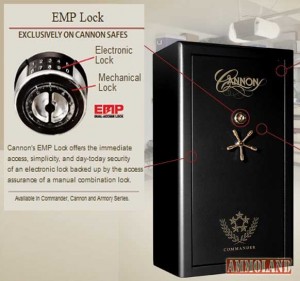 electronic locks