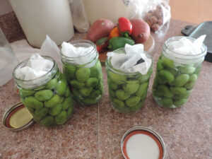 The rocks and parchment paper on top of the olives submerged in brine