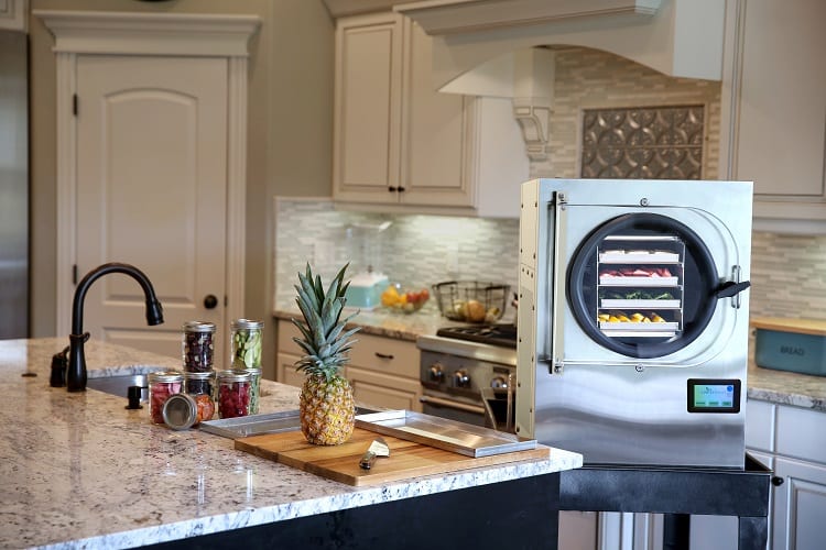 Can You Buy a Freeze Dryer for Your Home?