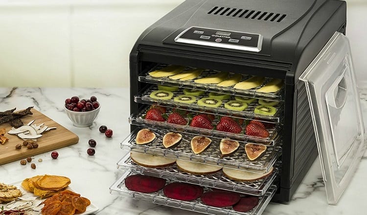 Advantages and Disadvantages of Dehydrator