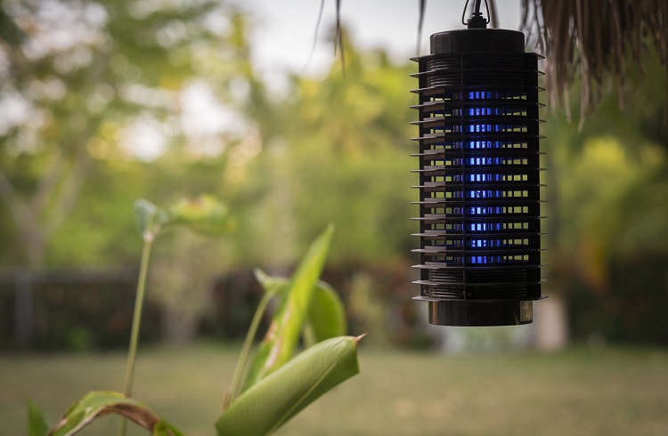 DynaTrap Insect Trap Review: Is It an Effective Mosquito Solution? - Tested  by Bob Vila