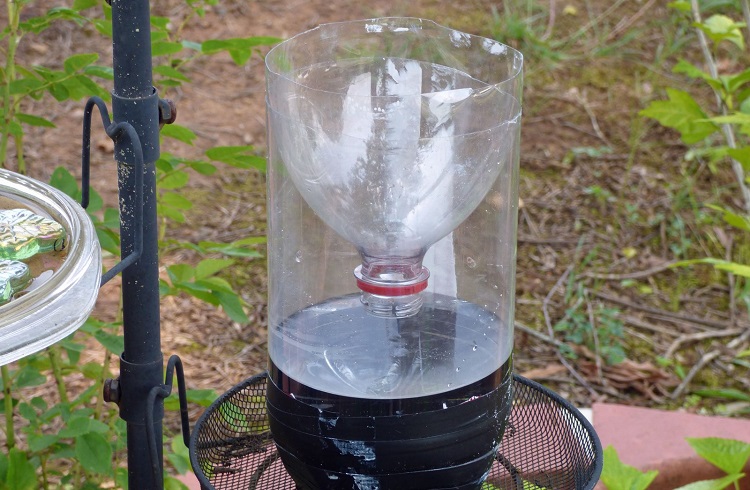 mosquito trap by the flowers